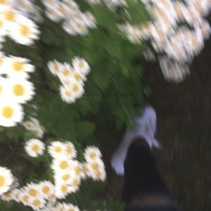 Meet your Posher, Linnea